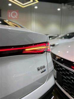 بي واي دي سيل 06 DM-i